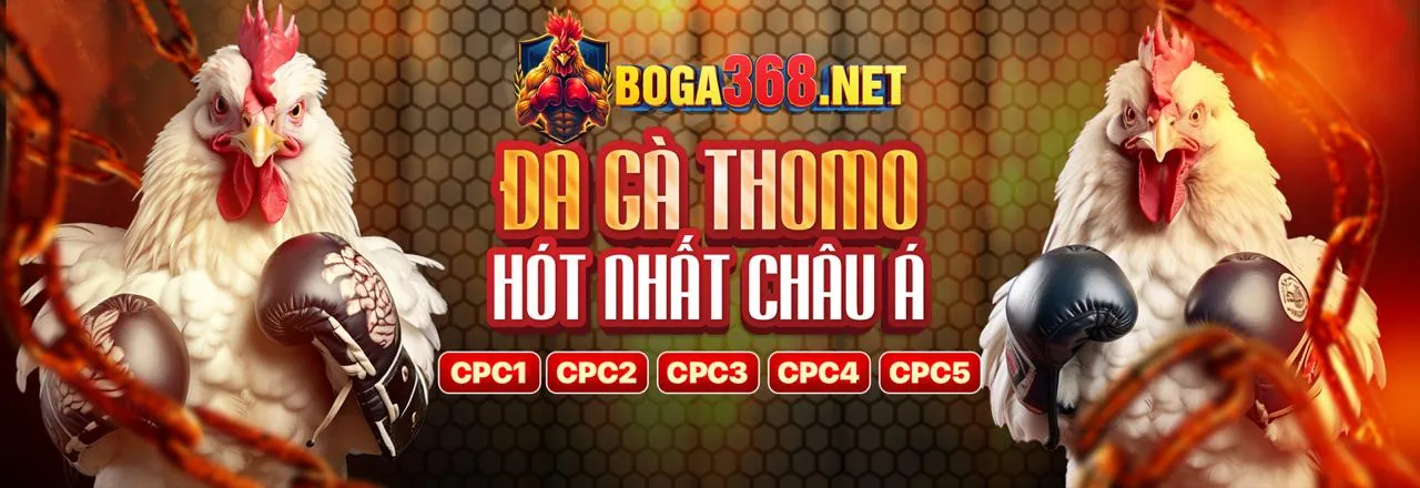 Quy định đặt cược thể thao