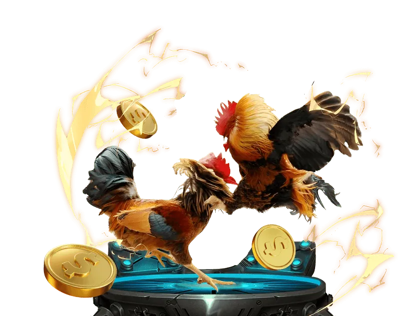 Hình ảnh quản lý vốn cá cược và chiến lược tài chính tại ta28 co